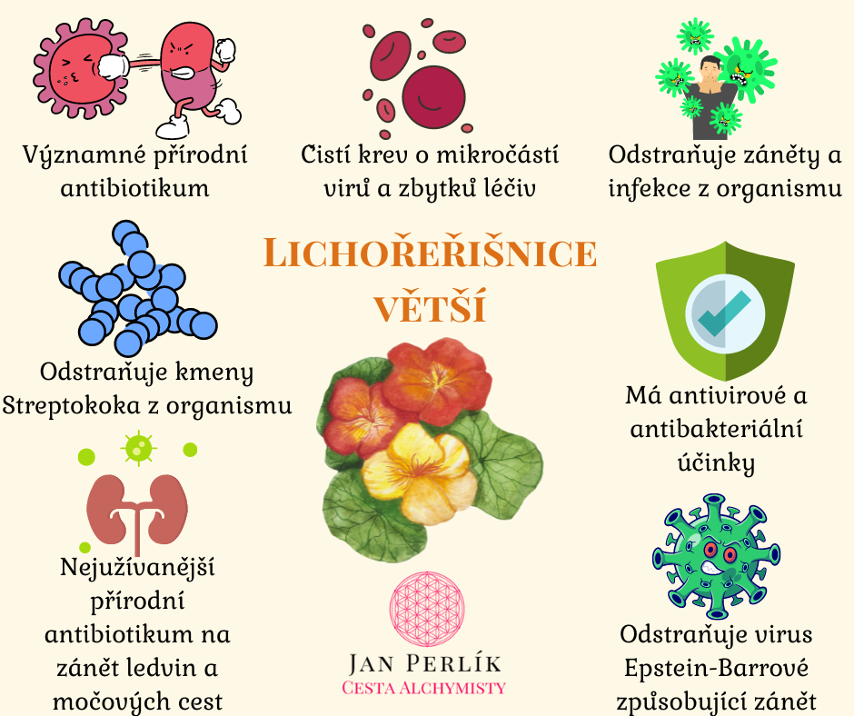 Kdy uzivat lichořeřišnice?